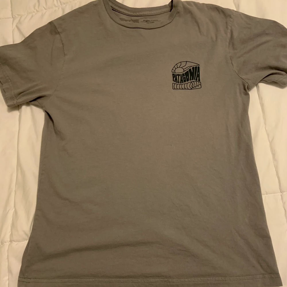 Patagonia shirt